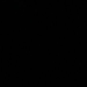 Meet your Posher, Bobby